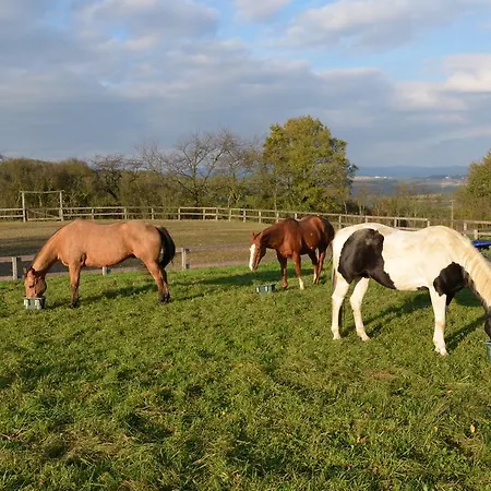 Meadow Ranch Vakantieboerderij