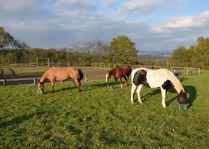 Meadow Ranch Bauernhof