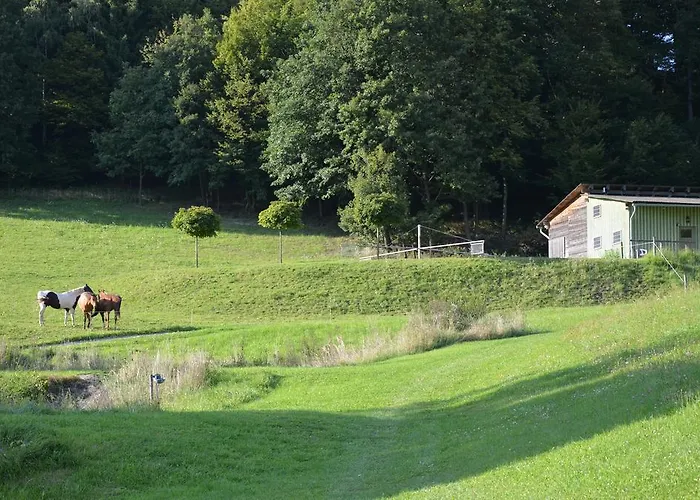 Meadow Ranch